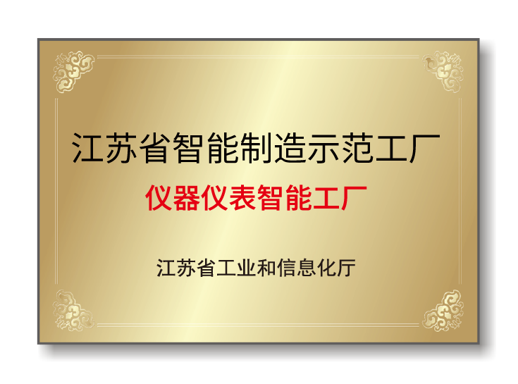 16510270622518cmyj8
